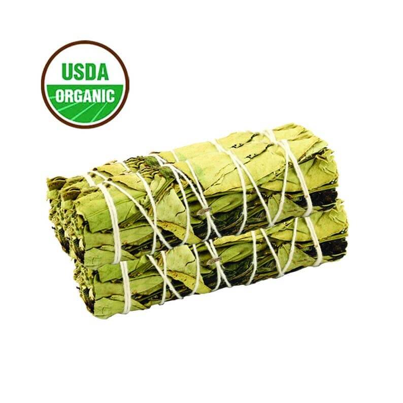 Sage Smudge Bundles (Many Varieties!)