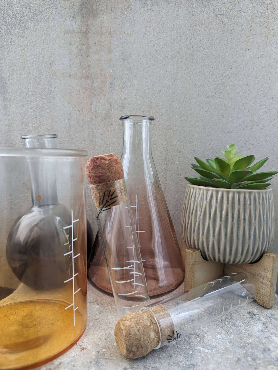 Elegant glass test tube tea infuser with cork lid next to glass lab beakers and a succulent plant.