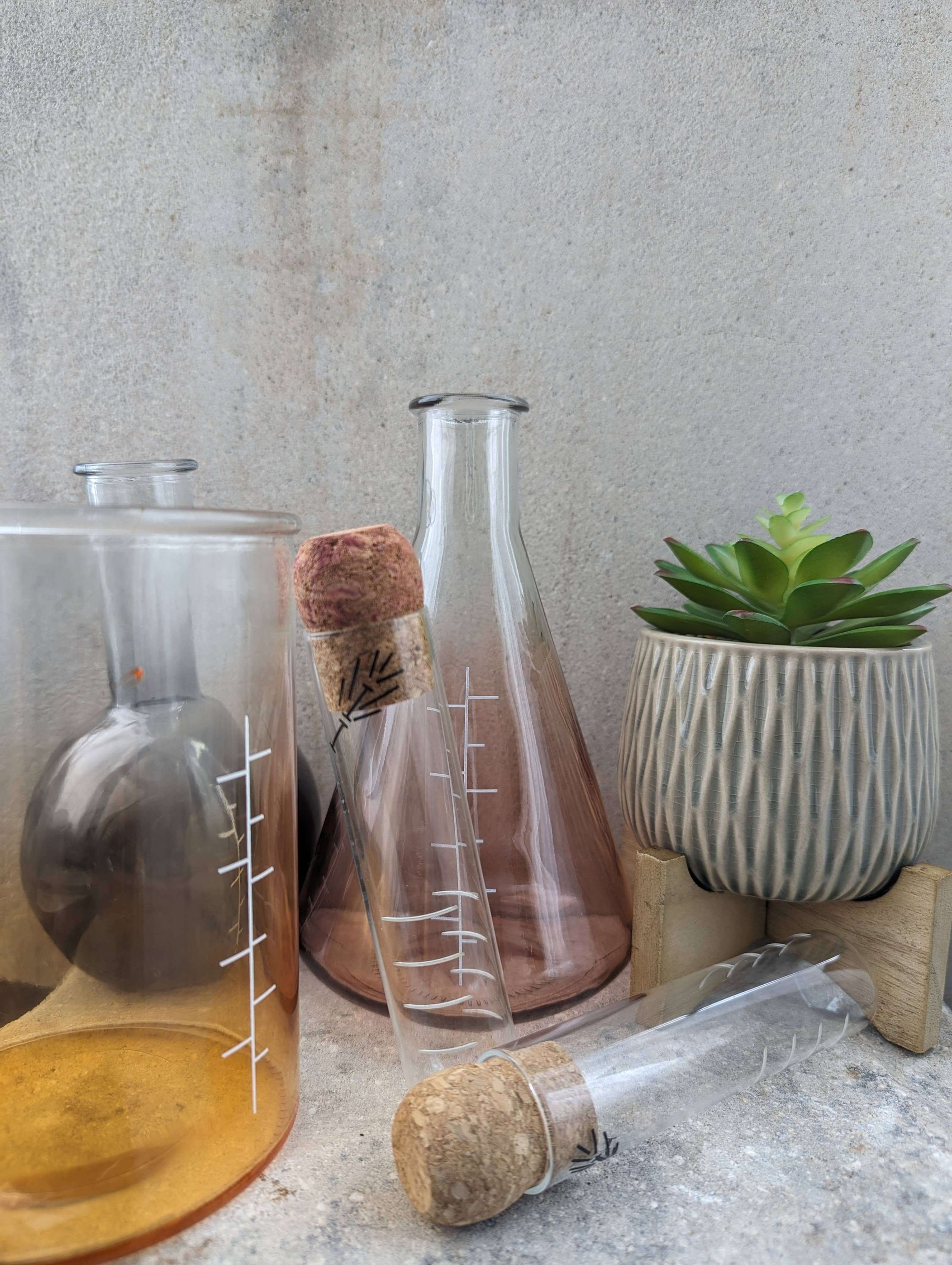 Elegant glass test tube tea infuser with cork lid next to glass lab beakers and a succulent plant.