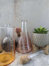 Elegant glass test tube tea infuser with cork lid next to glass lab beakers and a succulent plant.