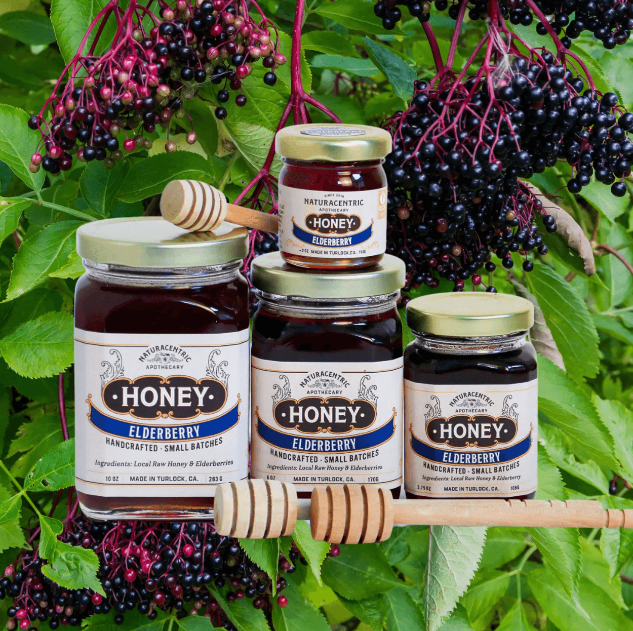Herbal Infused Meyer Lemon Raw Honey