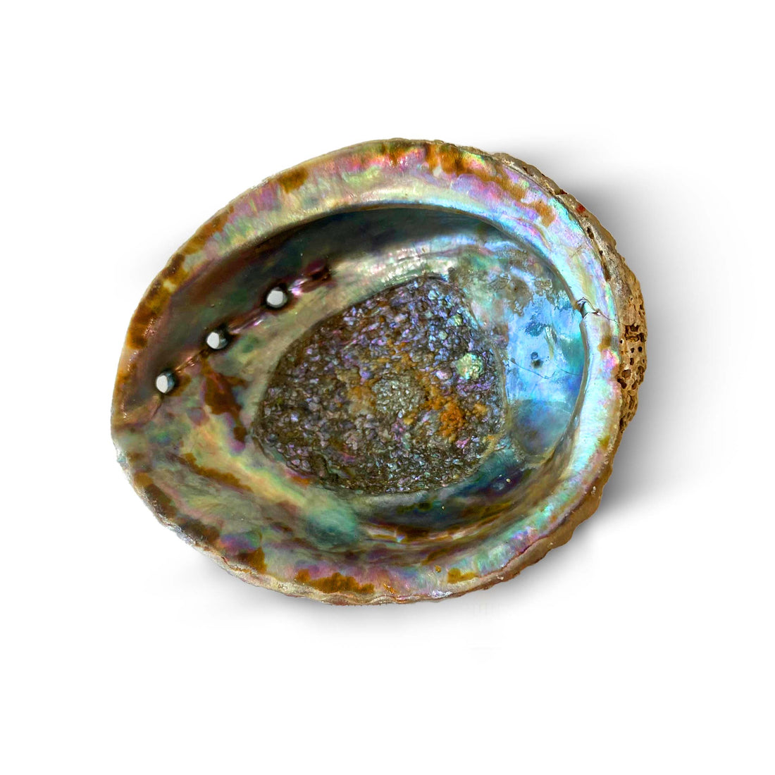Abalone Shell Smudge Bowls
